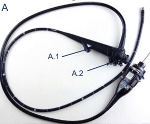 Figure 1. Olympus EVIS EXERA III TJF-Q190V duodenoscope and characteristics of the channels evaluated
